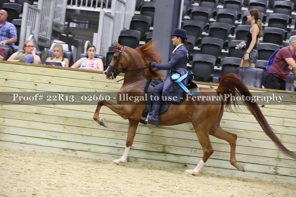 Proof 22R13_02660