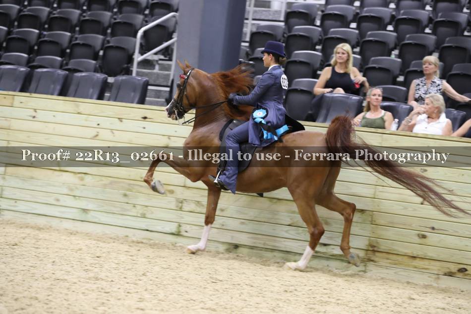 Proof 22R13_02661