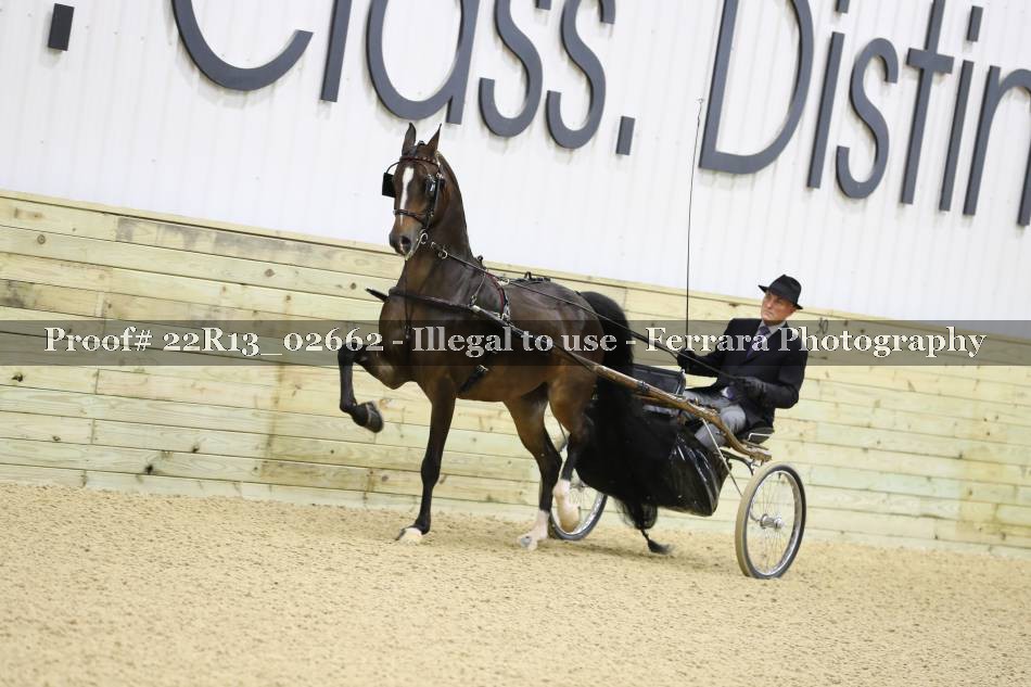 Proof 22R13_02662