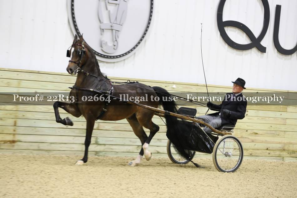 Proof 22R13_02664