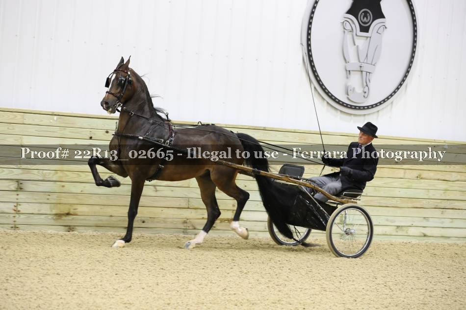 Proof 22R13_02665