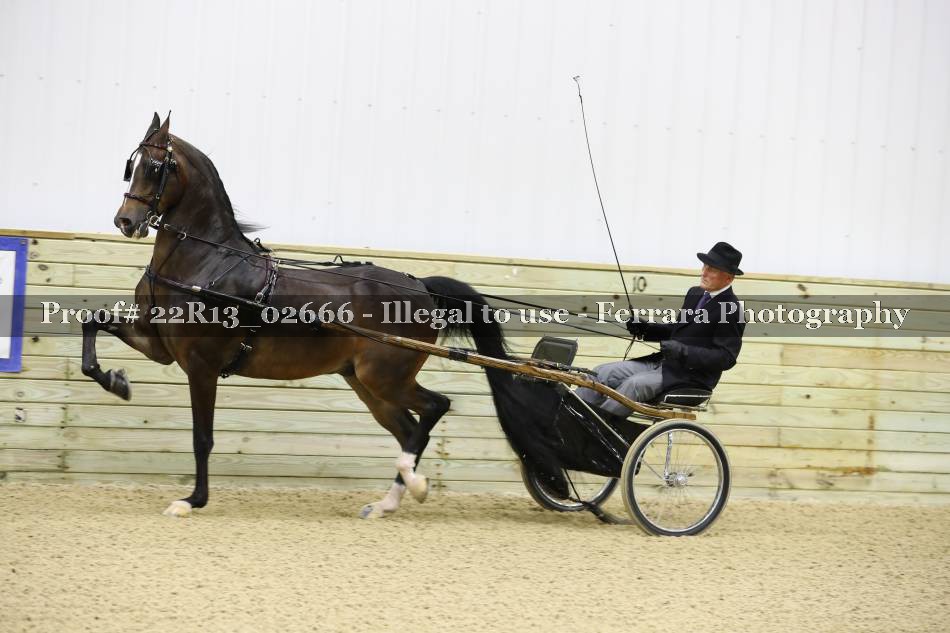 Proof 22R13_02666