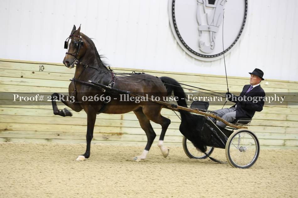 Proof 22R13_02669