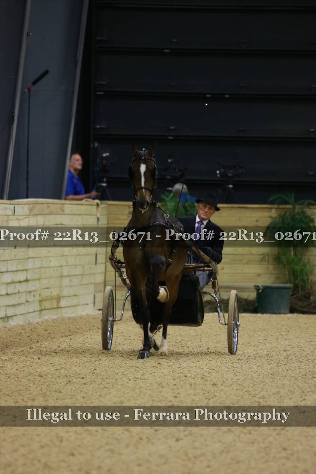 Proof 22R13_02671