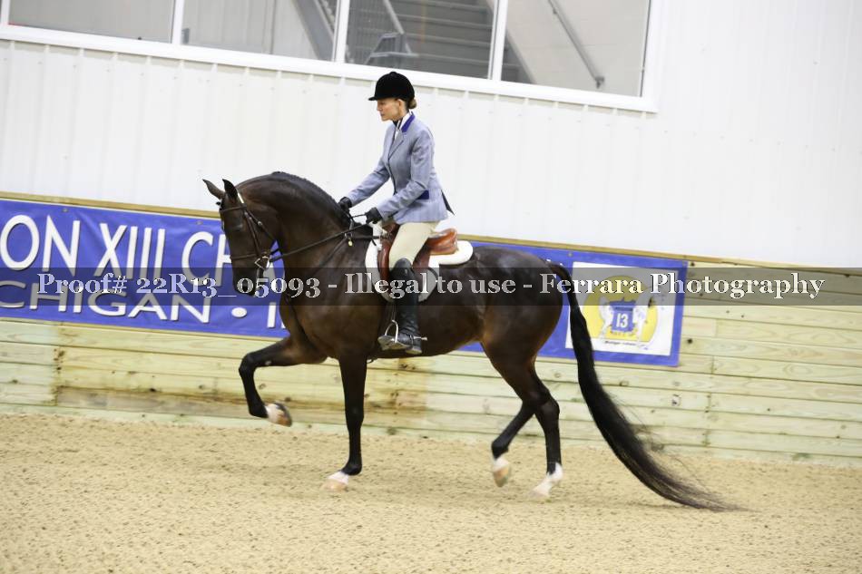 Proof 22R13_05093