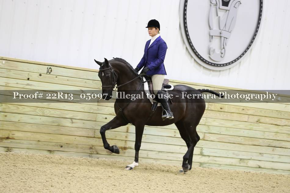 Proof 22R13_05097