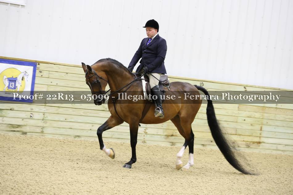 Proof 22R13_05099