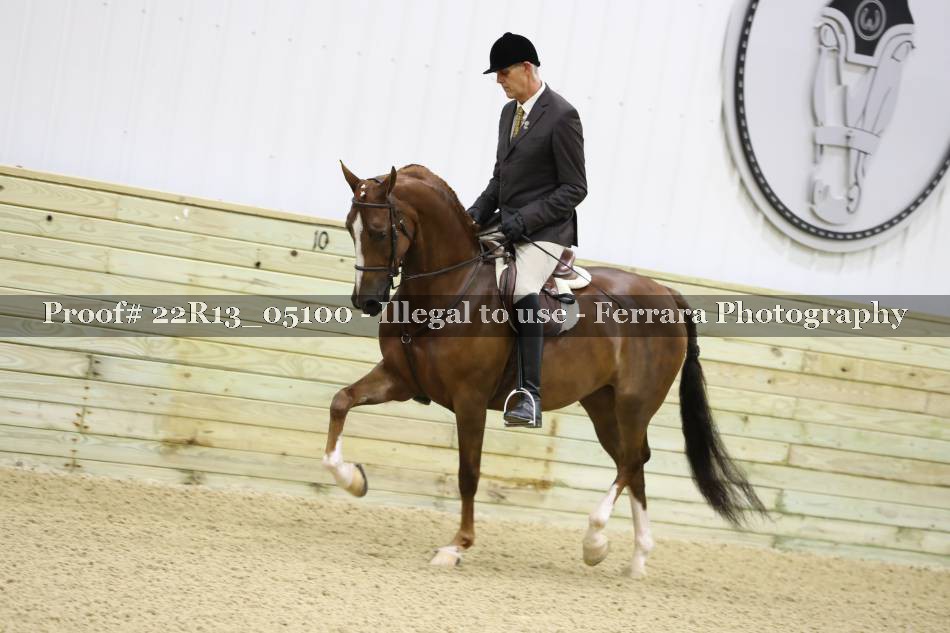 Proof 22R13_05100