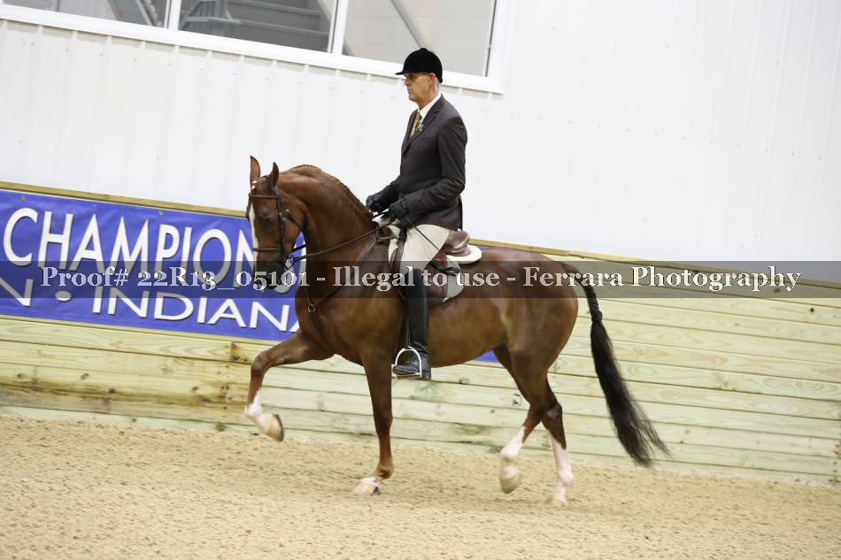 Proof 22R13_05101
