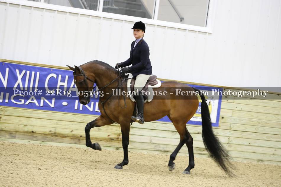 Proof 22R13_05103