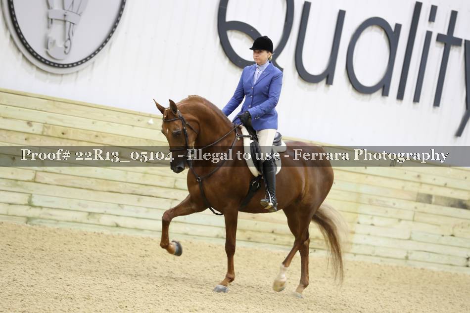 Proof 22R13_05104