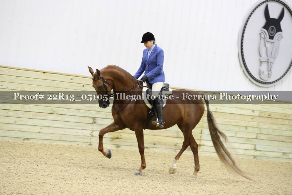 Proof 22R13_05105