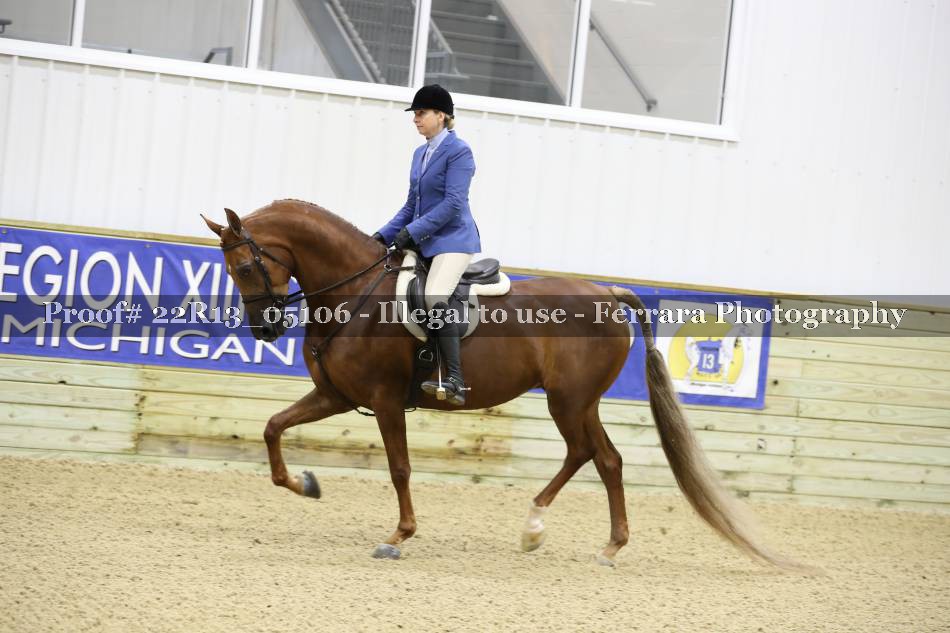 Proof 22R13_05106