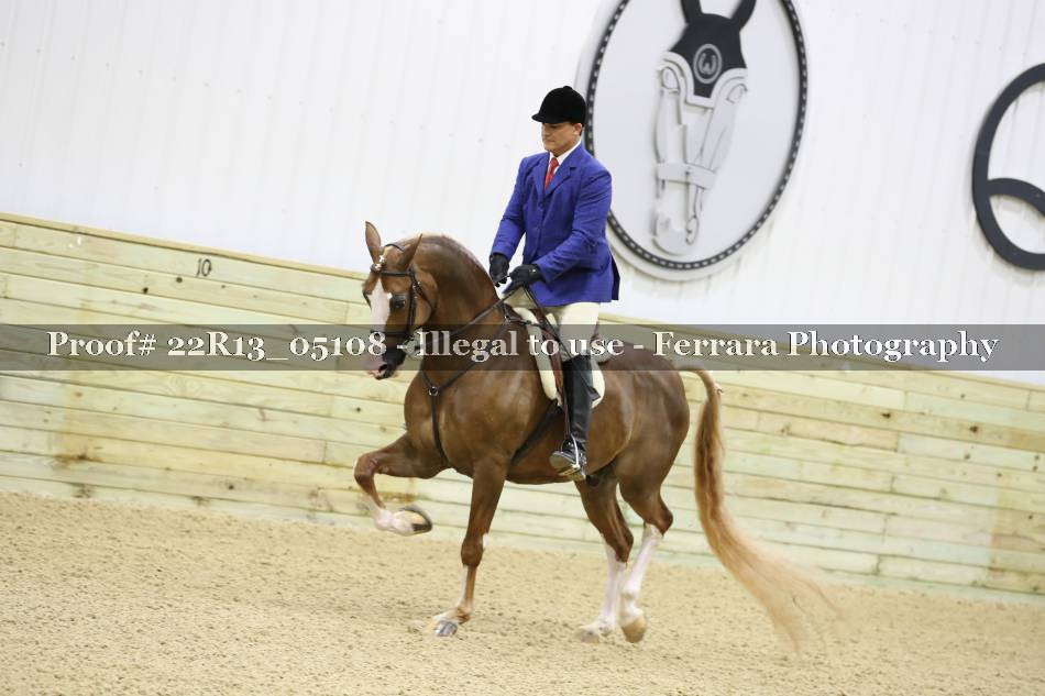 Proof 22R13_05108