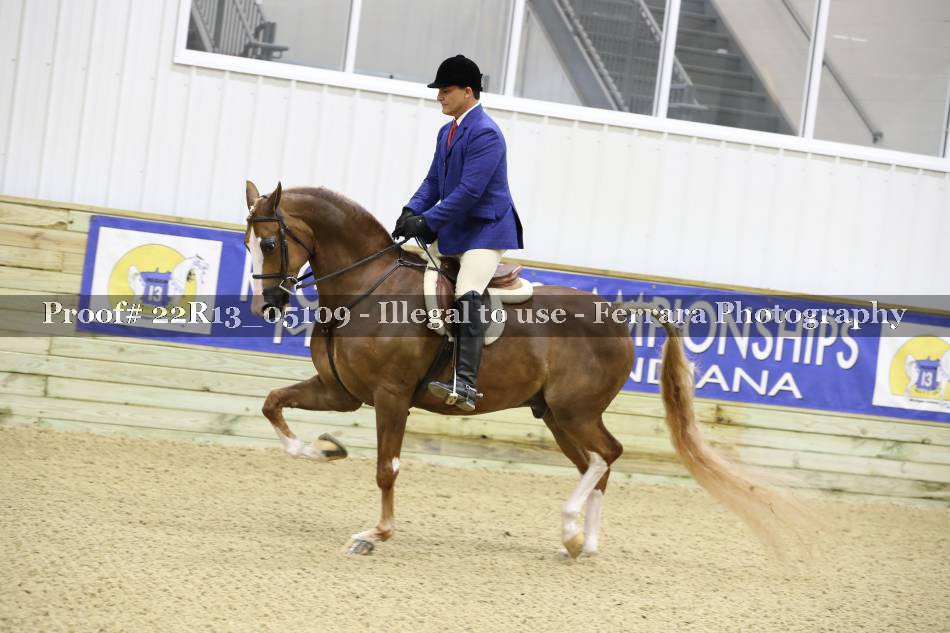 Proof 22R13_05109