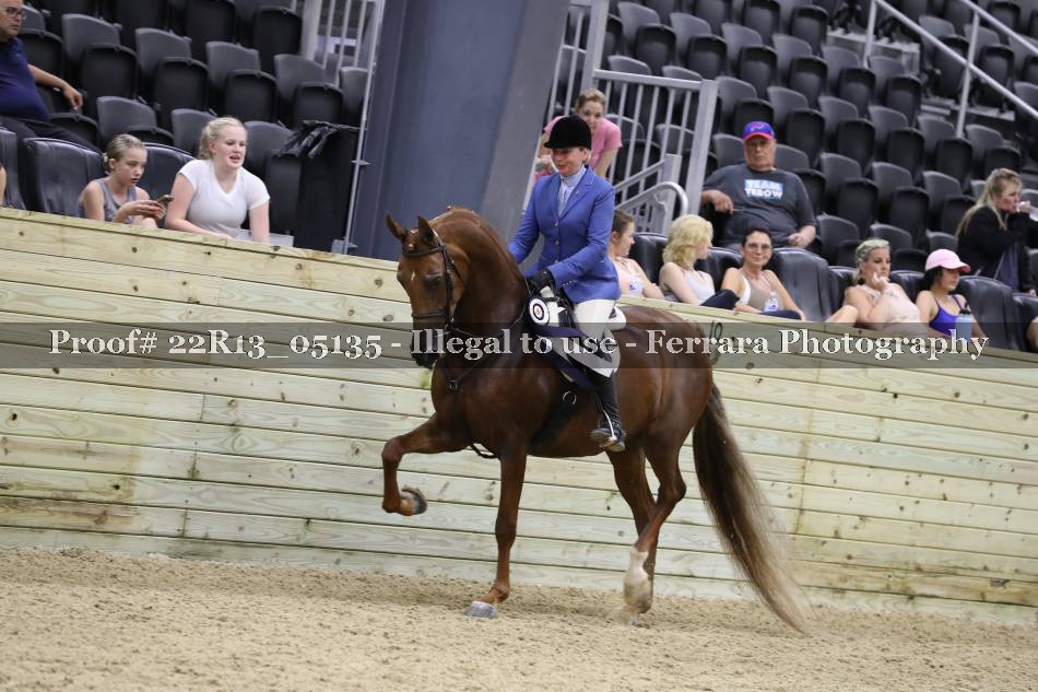 Proof 22R13_05135