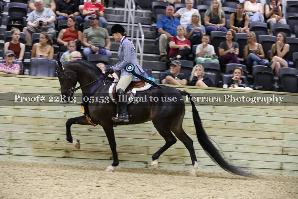 Proof 22R13_05153