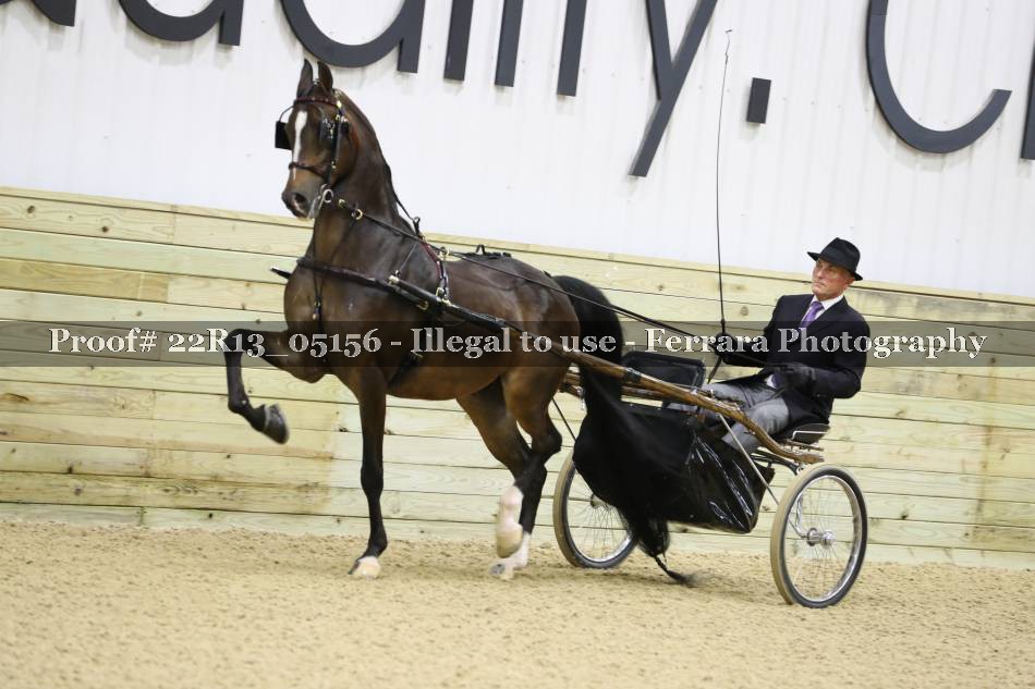Proof 22R13_05156