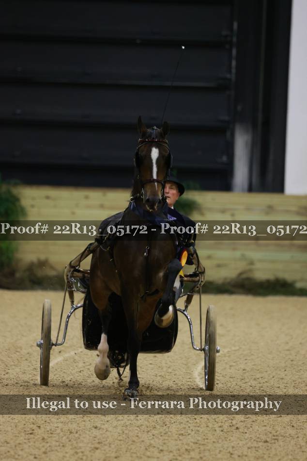 Proof 22R13_05172
