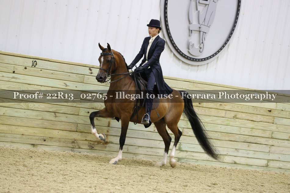 Proof 22R13_02765