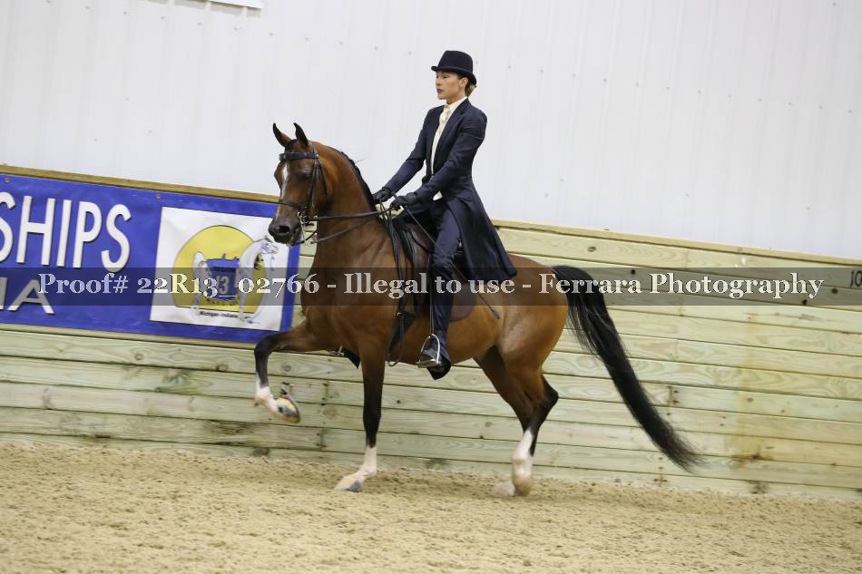 Proof 22R13_02766