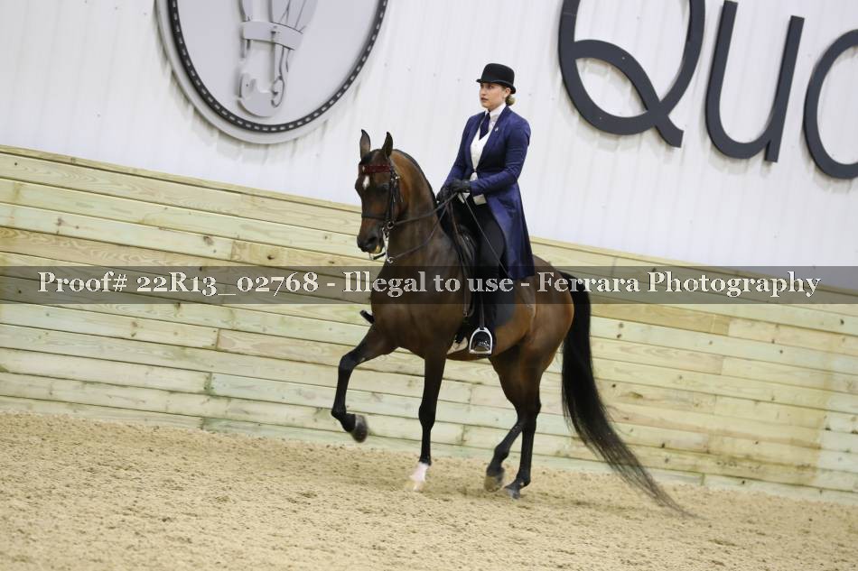 Proof 22R13_02768