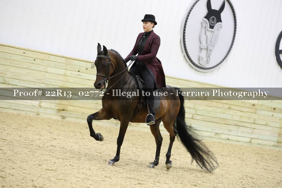 Proof 22R13_02772