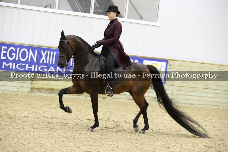 Proof 22R13_02773