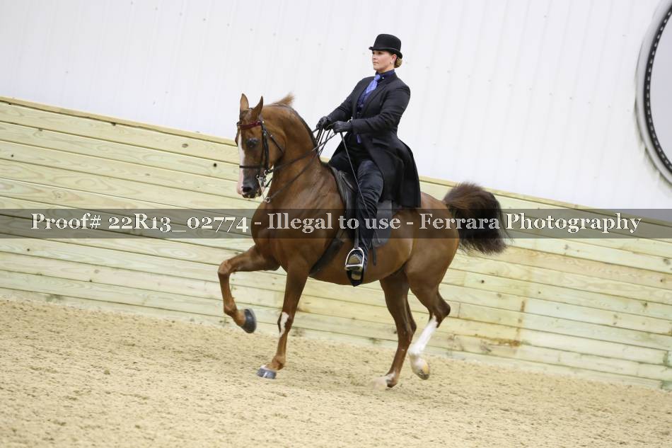 Proof 22R13_02774