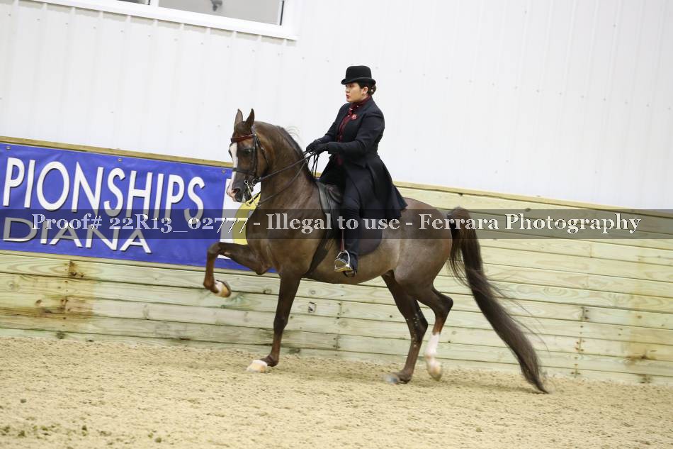 Proof 22R13_02777