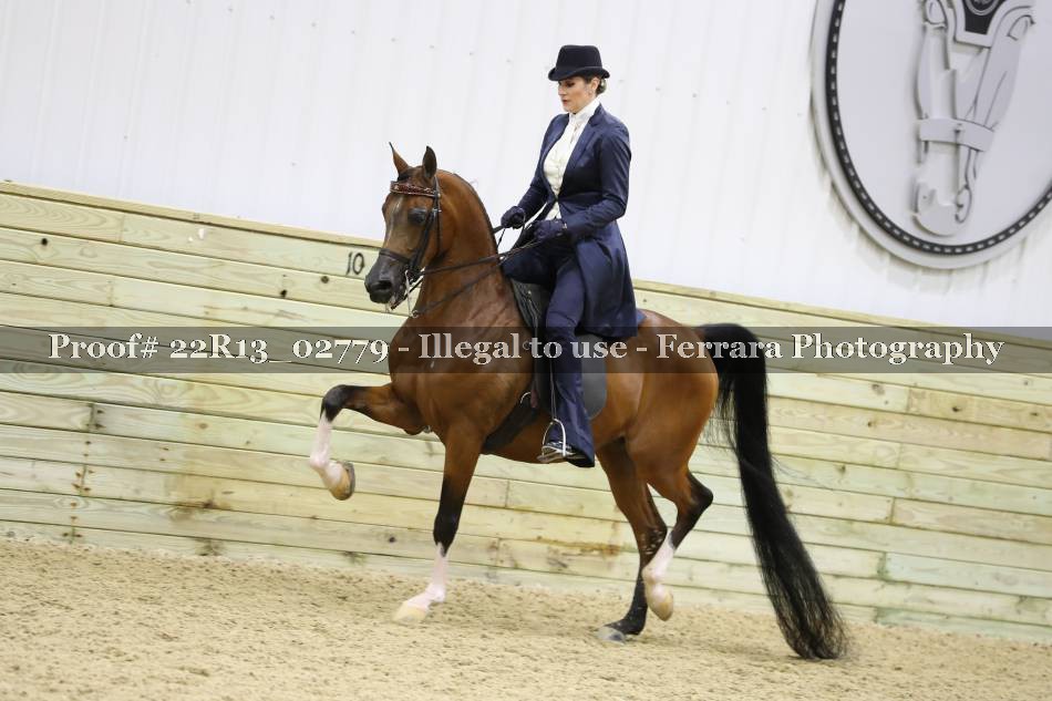 Proof 22R13_02779