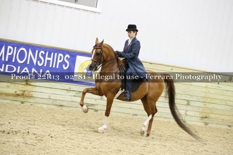 Proof 22R13_02781