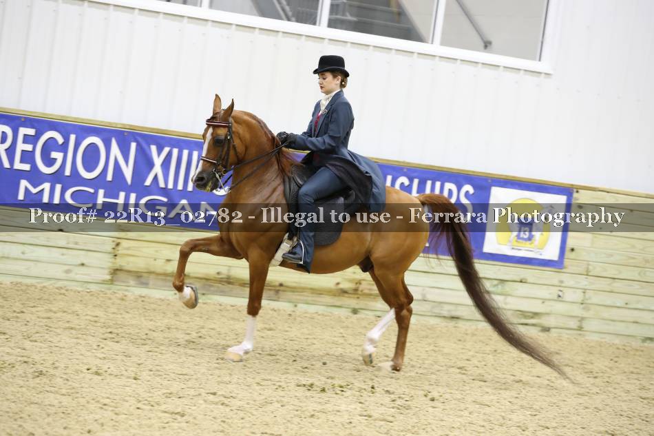 Proof 22R13_02782