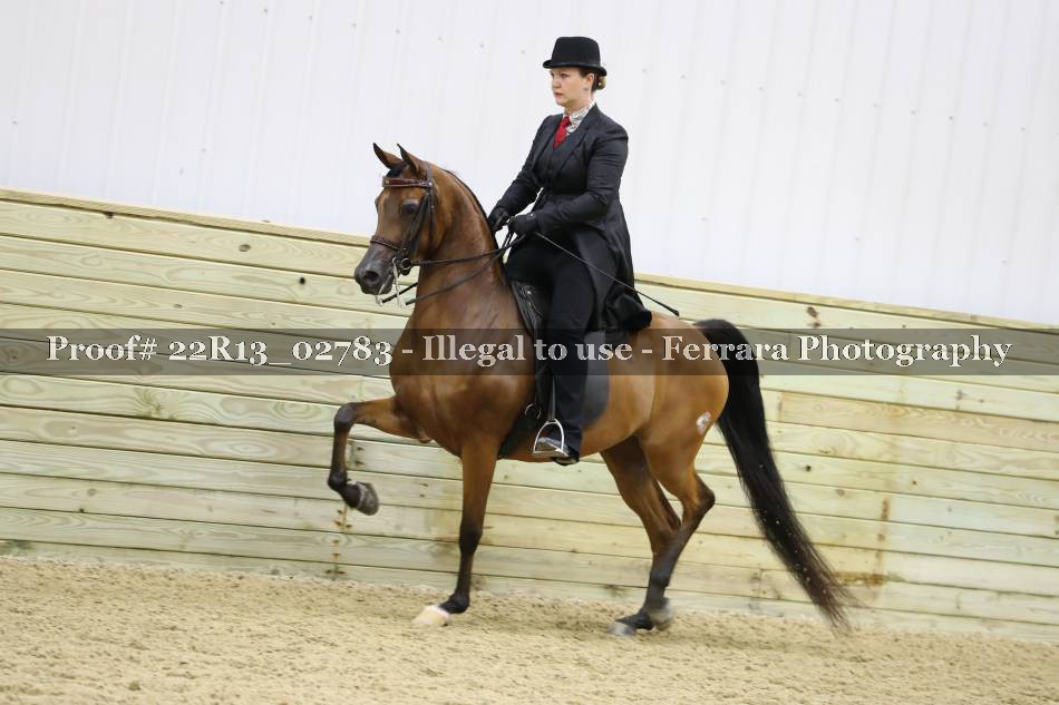Proof 22R13_02783