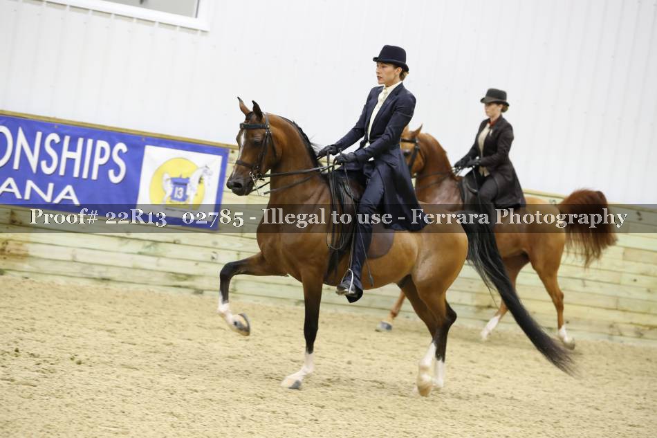 Proof 22R13_02785