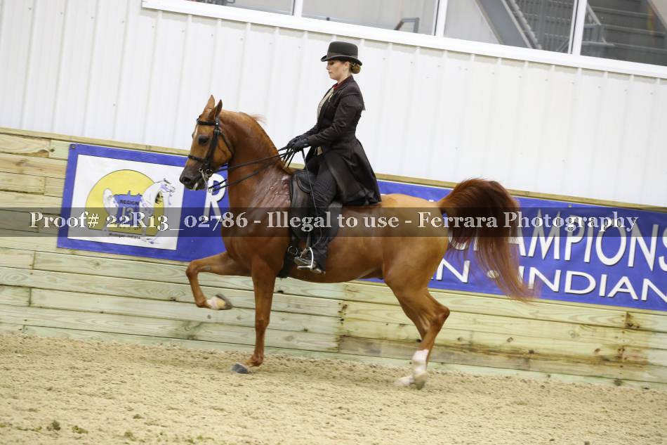 Proof 22R13_02786