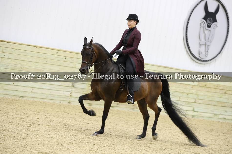 Proof 22R13_02787