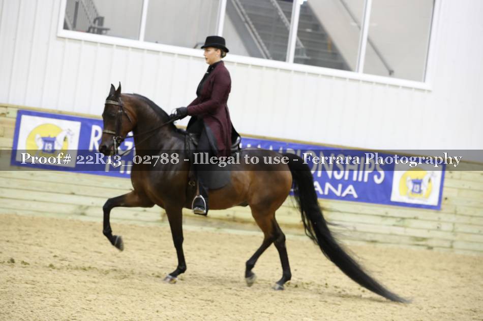 Proof 22R13_02788