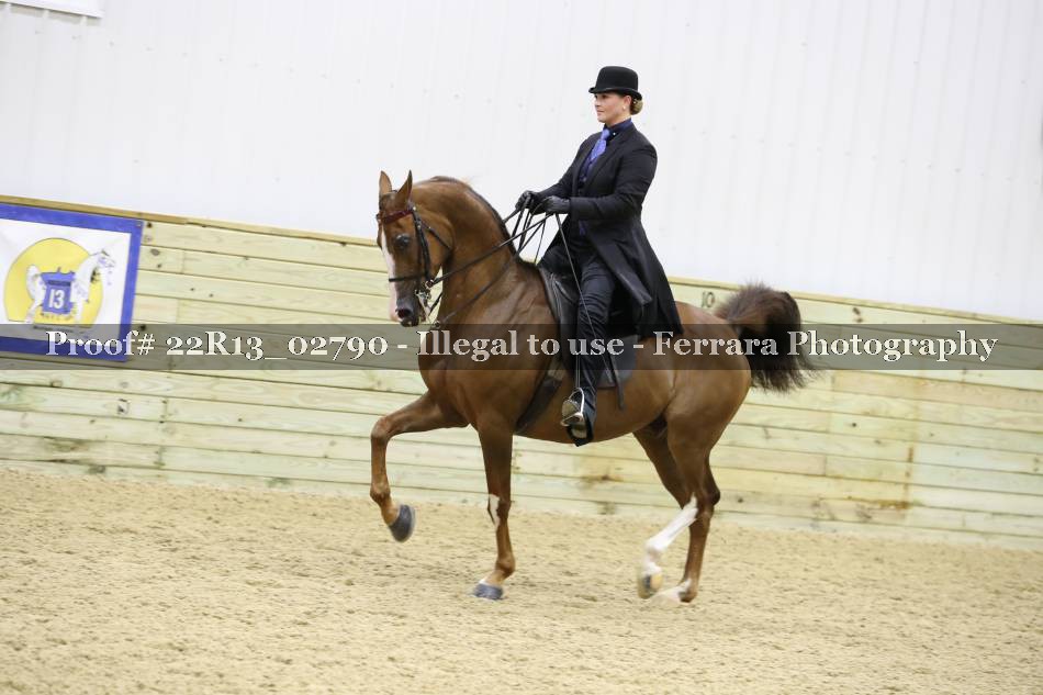 Proof 22R13_02790