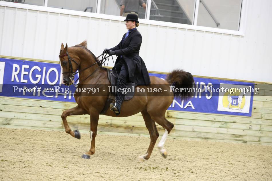 Proof 22R13_02791