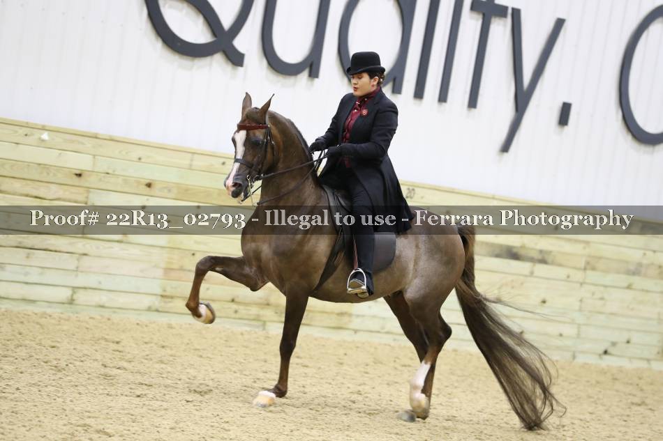Proof 22R13_02793