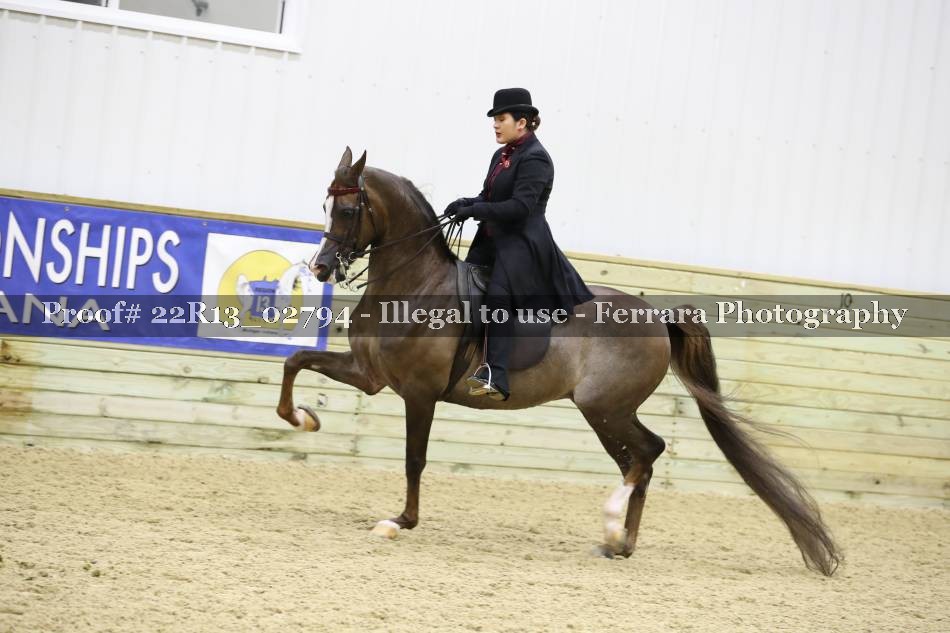 Proof 22R13_02794