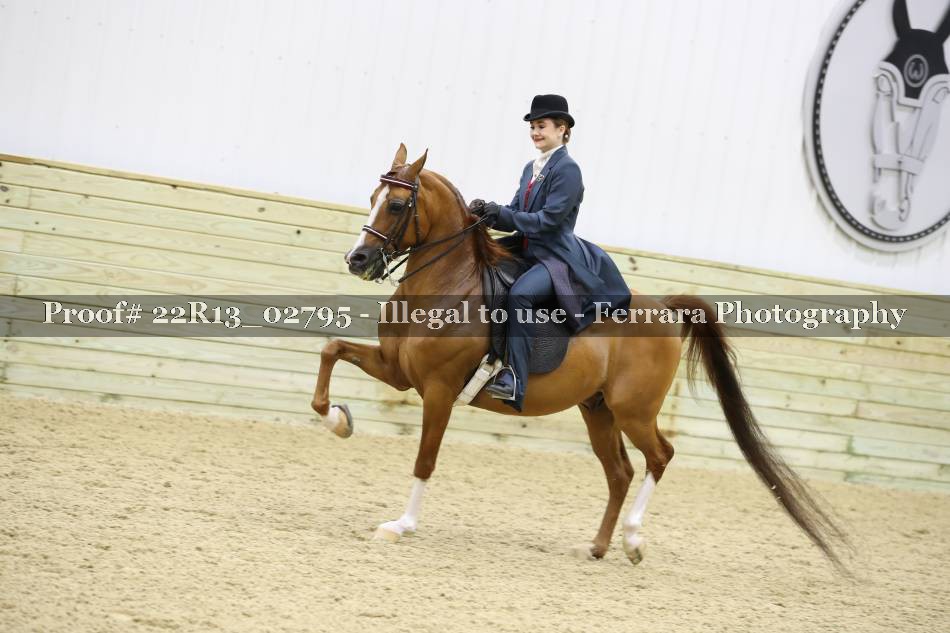 Proof 22R13_02795
