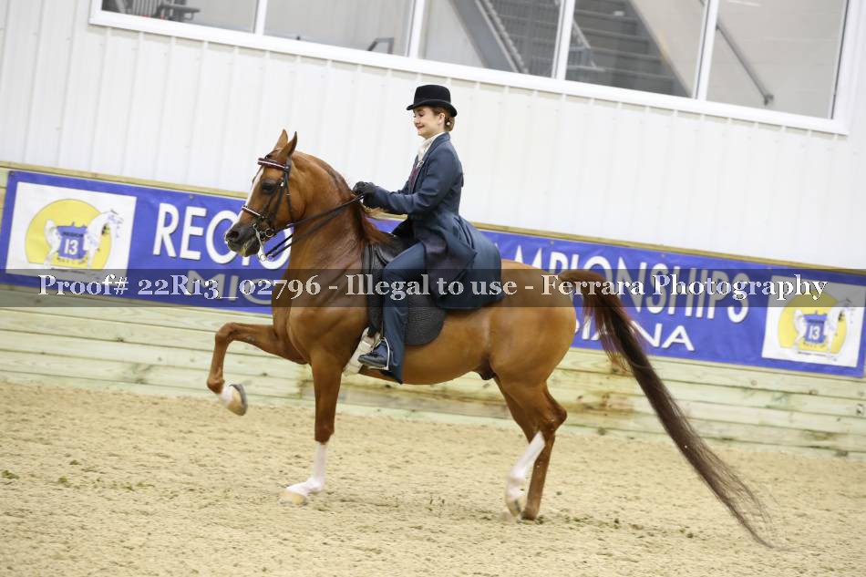 Proof 22R13_02796