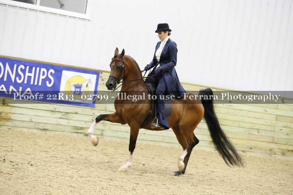 Proof 22R13_02799