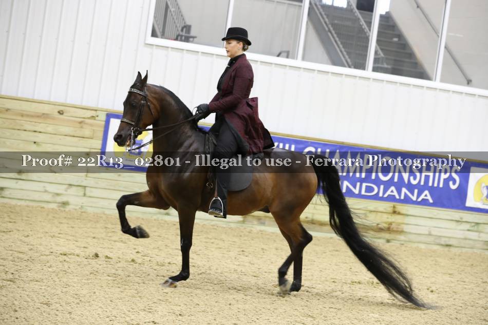 Proof 22R13_02801