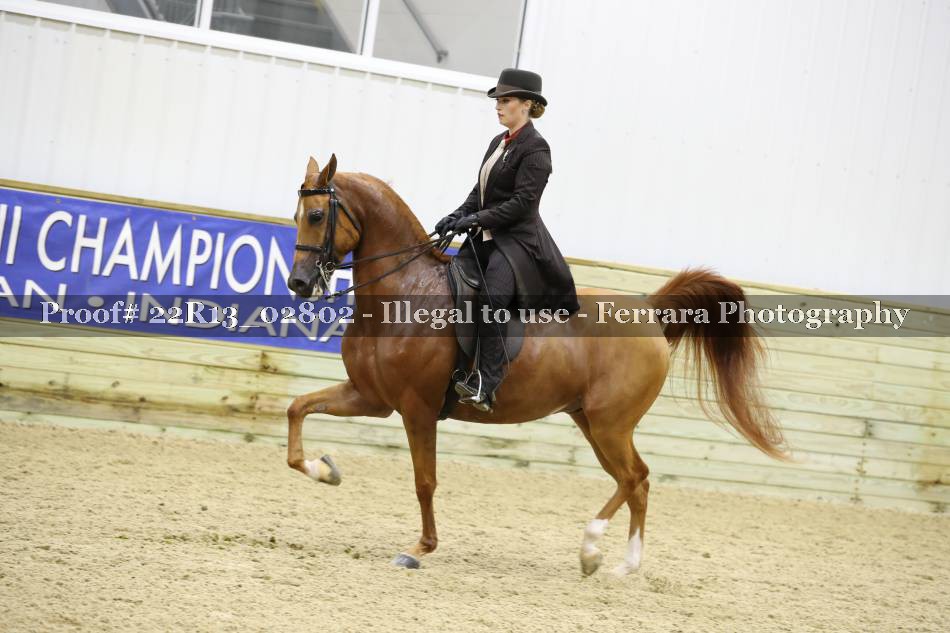 Proof 22R13_02802