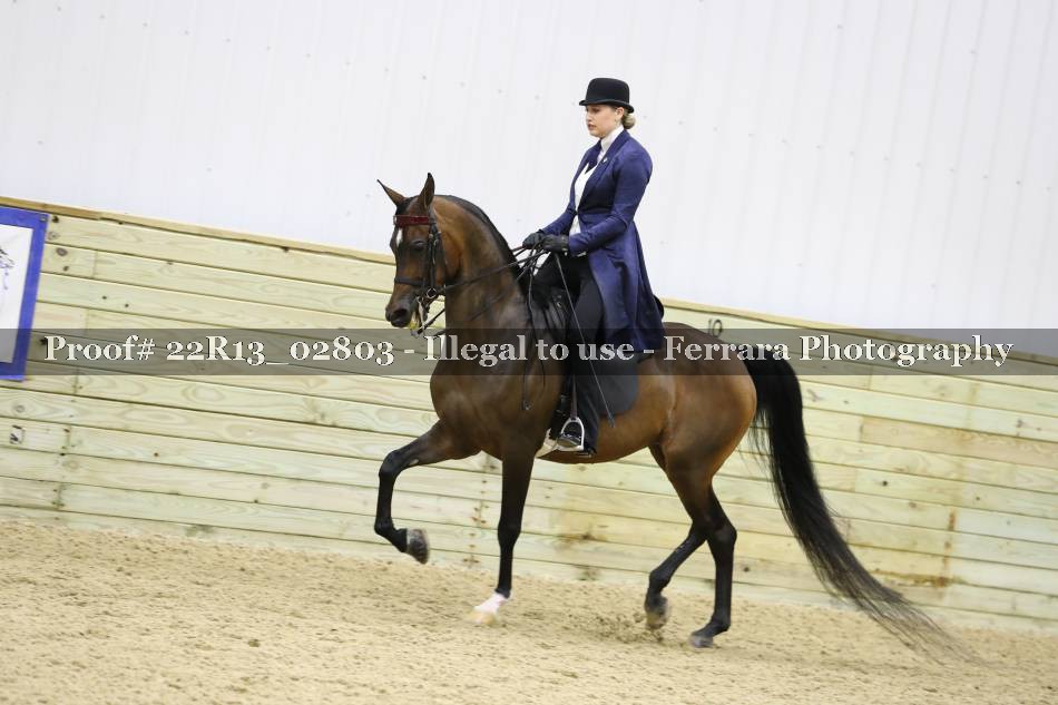 Proof 22R13_02803
