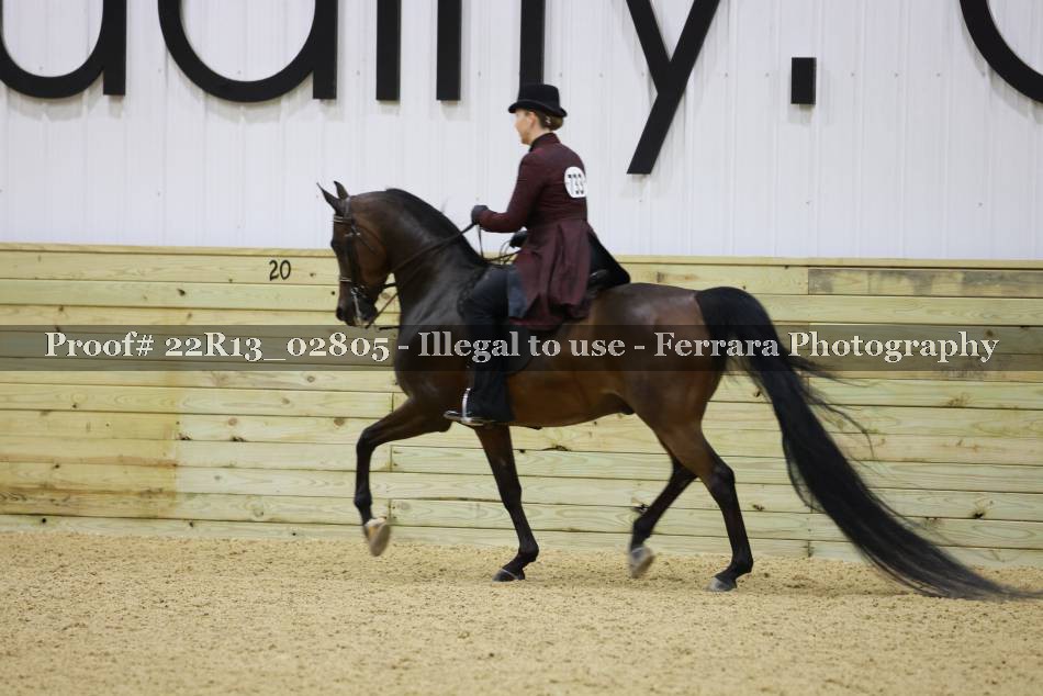 Proof 22R13_02805