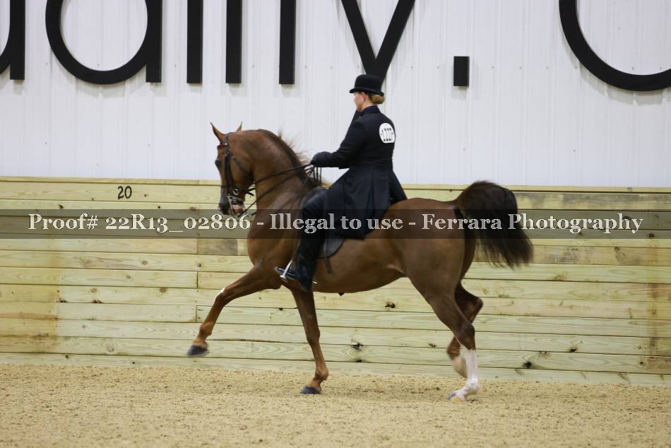 Proof 22R13_02806